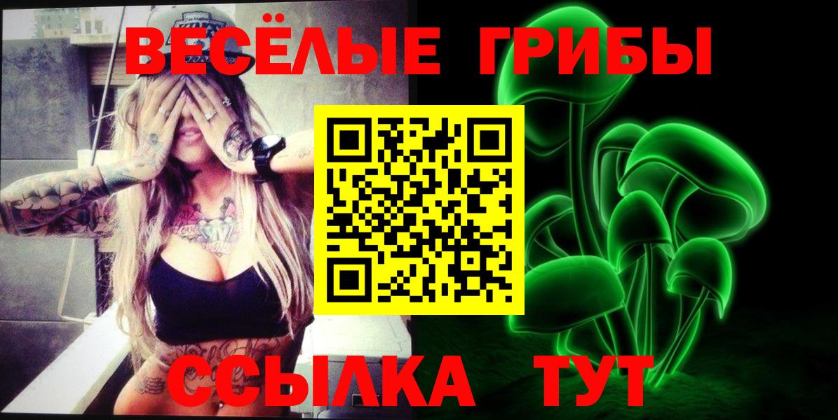 Сланцы  Галлюциногенные грибы Magic Shrooms  хочу наркоту  Вход с VPN 